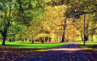 Park path trees leaves bench - a path in a park free wallpaper