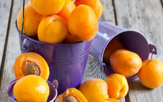 Bucket oranges wooden table incoherent - boetius adamsz bolswert free wallpaper