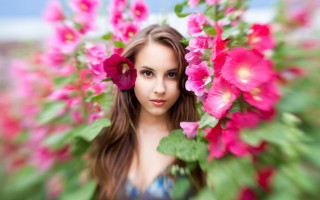 Flower blossom blue dress impressionism - a blue sky in the background free wallpaper for desktop