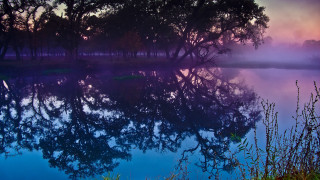 Lake trees foggy sunset autumn - mystical free wallpaper
