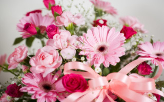 Pink bouquet ribbon flowers blurry - ammi phillips free wallpaper