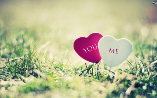 Two hearts love park flowers - two heart free wallpaper
