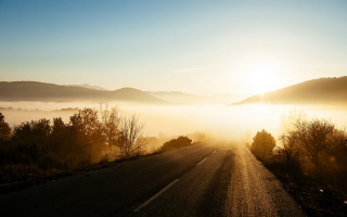 Foggy mountain sunrise beach forest - dennis ashbaugh free wallpaper for desktop