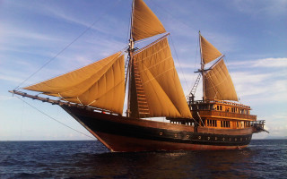 Large boat yellow sail matte - detailed free wallpaper