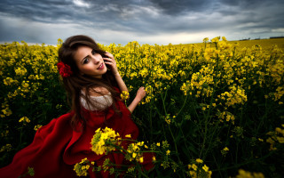 Woman red dress field yellow - a dark sky in the background free wallpaper