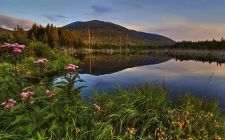 Lake forest mountain flowers sunset - the foreground free wallpaper