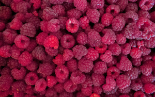 Raspberries bouquet macro art flowers - a pile free wallpaper