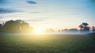 Foggy dawn trees sunset lake - sunset free wallpaper