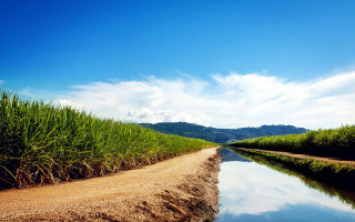 River green field forest hill - dorothy coke free wallpaper