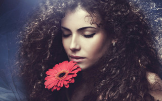 Woman curly hair red flower - a red flower free wallpaper