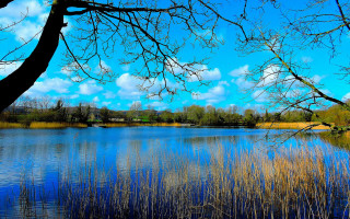 Lake trees clouds impressionism autumn - anthony s waters free wallpaper