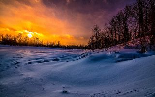Sunset snowy field trees dark - winter free wallpaper for desktop