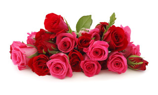 Red roses green leaves white - red rose free wallpaper
