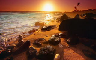 Beach rocks water sunset palm - rock and water free wallpaper