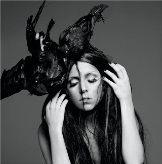 Woman bird head hands on - dark free wallpaper