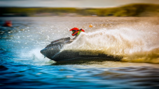 Man wave boat flower ocean - a red flower free wallpaper