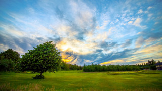 Tree field sunset clouds horizon 2 - a house in the distance free wallpaper