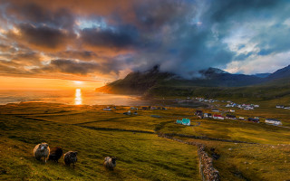 Sheep grazing hillside lake sunset - colorful cloud free wallpaper