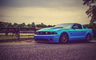 Blue mustang horse fence 3d - near free wallpaper for desktop