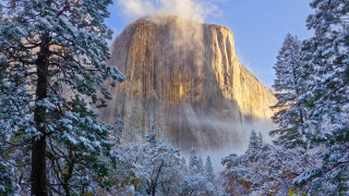 Mountain forest snow mist autumn - sense of awe free wallpaper