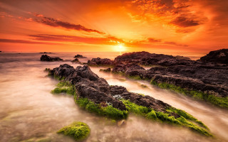 Sunset rocky beach green algae 4 - green alga free wallpaper