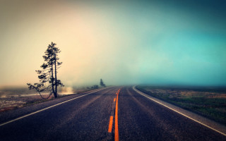 Long road lone tree foggy 2 - a long road free wallpaper