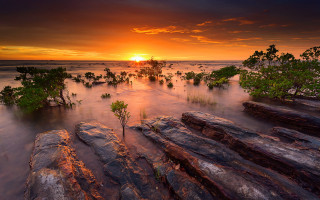 Sunset water rocks trees bushes - a few bush free wallpaper