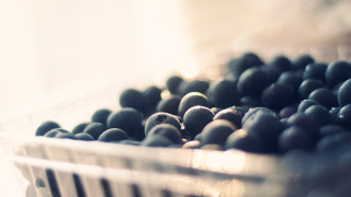 Blueberries plastic container table window - a table top next free wallpaper