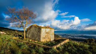 Hill tree building city clouds - new free wallpaper