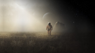 Space man field dog aurora - the ground behind free wallpaper