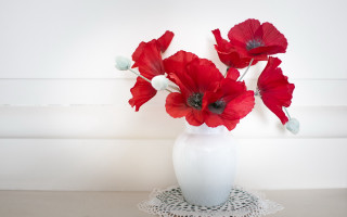 White vase red flowers doily - a white vase free wallpaper