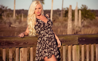Woman dress fence blonde posing - a fence free wallpaper