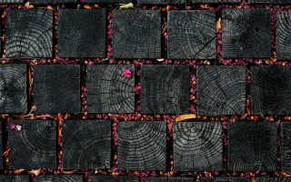 Wooden block red flower rose - andy goldsworthy free wallpaper