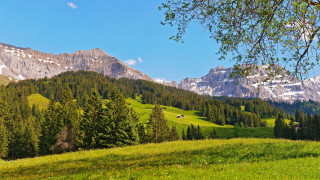 Grassy field mountains trees houses - a few house free wallpaper