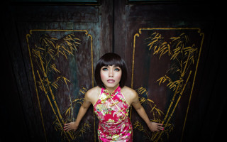 Pink dress bamboo door portrait - a pink dress free wallpaper for desktop