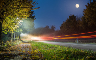 Night road fullmoon trees city - grass free wallpaper
