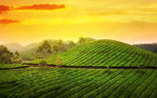 Lush green hillside sunset cityscape - a lush green hillside free wallpaper