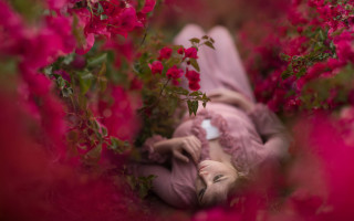 Woman flower field cellphone bottle - a field of flowers free wallpaper