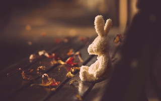 Stuffed animal bench leaves flowers - beatrix potter free wallpaper