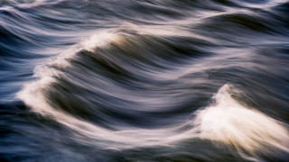Blurry wave bird ocean horizon - in the ocean free wallpaper