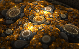 Rock pattern fractals autumn fire - circular free wallpaper