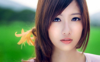 Woman flower green field photorealistic - her hair and a flower free wallpaper
