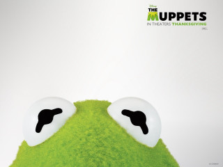 Green frog big eyes white - lowbrow free wallpaper