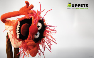 Puppet funny pose big grin - his face free wallpaper