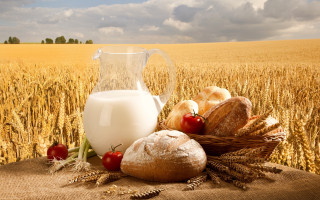 Milk glass bread tomatoes fruits - heavy grain free wallpaper