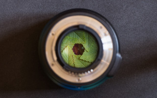 Camera lens leaf ecological macro - a camera len free wallpaper