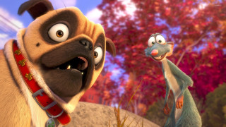 Cartoon dog ratty rattyback big - a scene free wallpaper