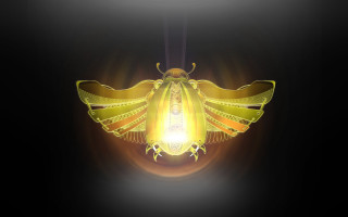 Yellow light bird holography bioluminescence - a yellow light free wallpaper