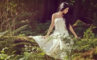 Woman white dress forest nature - a woman free wallpaper