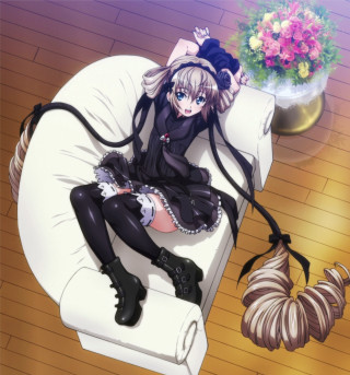 Woman chair cat vase flowers - a chair free wallpaper